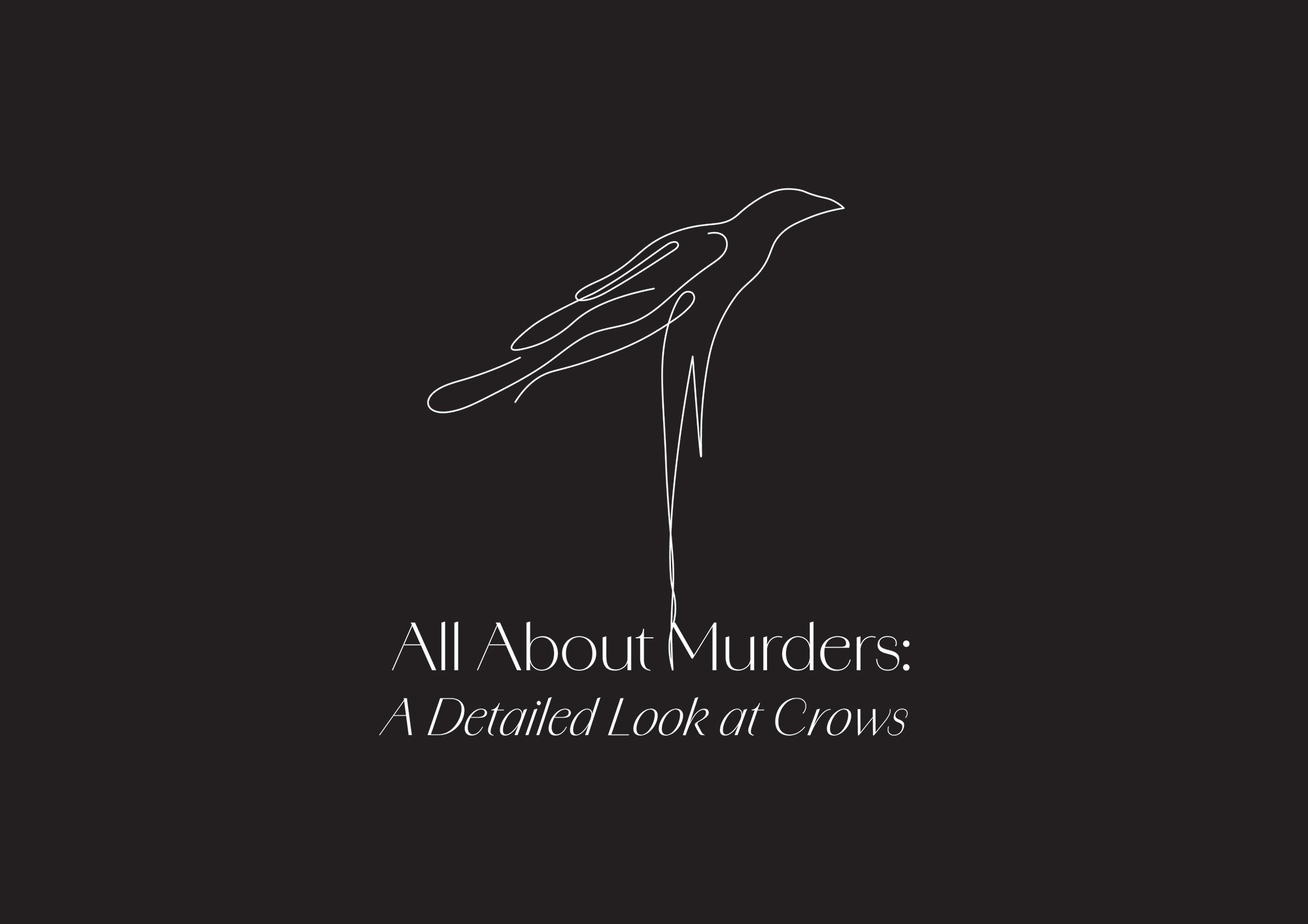 All-About-Murders-Logo-01