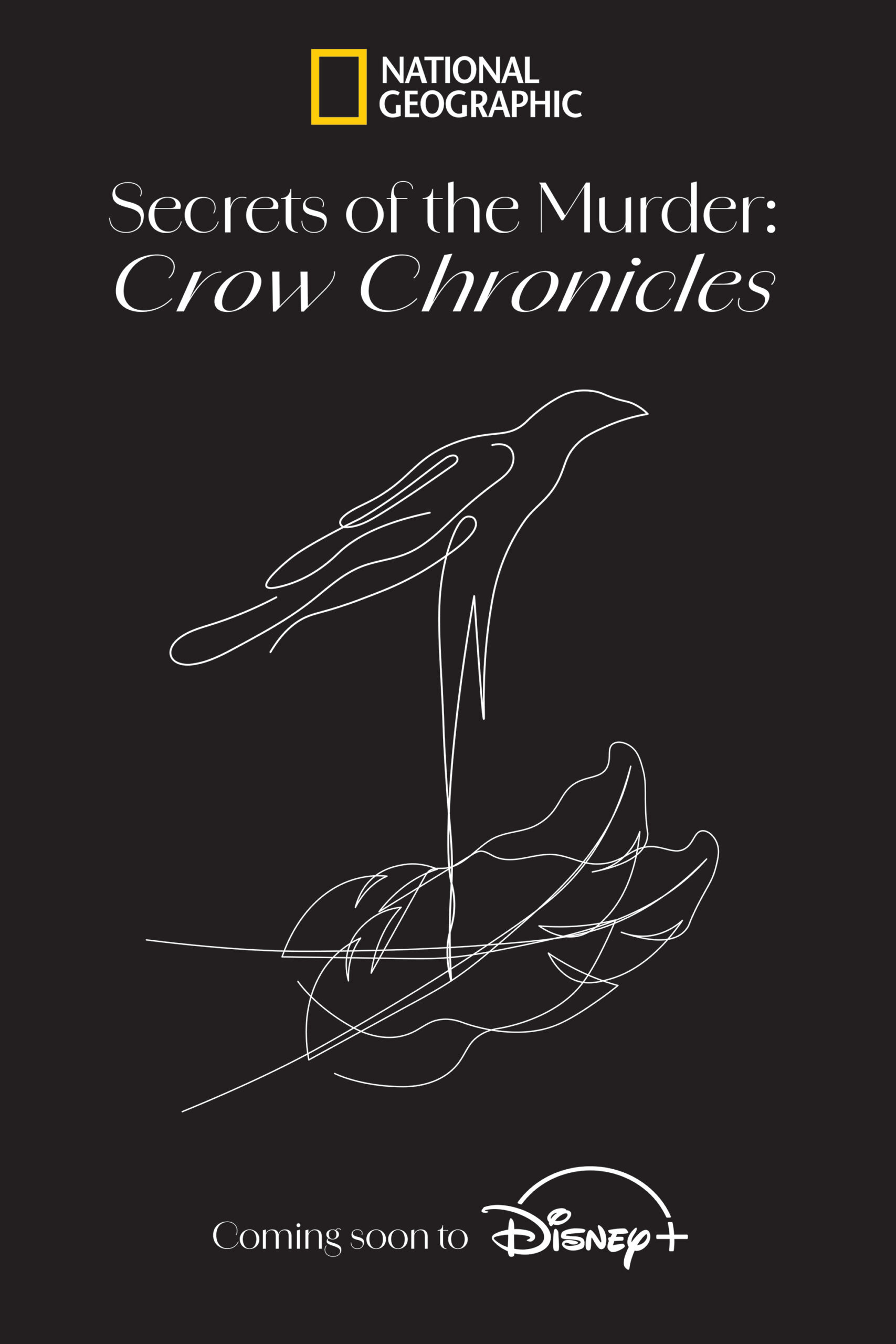 crow-chronicals-poster