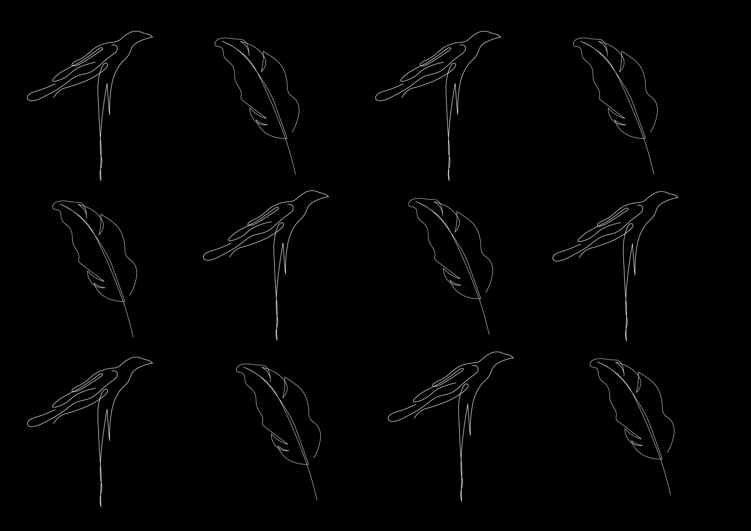 crow-line-drawing-pattern