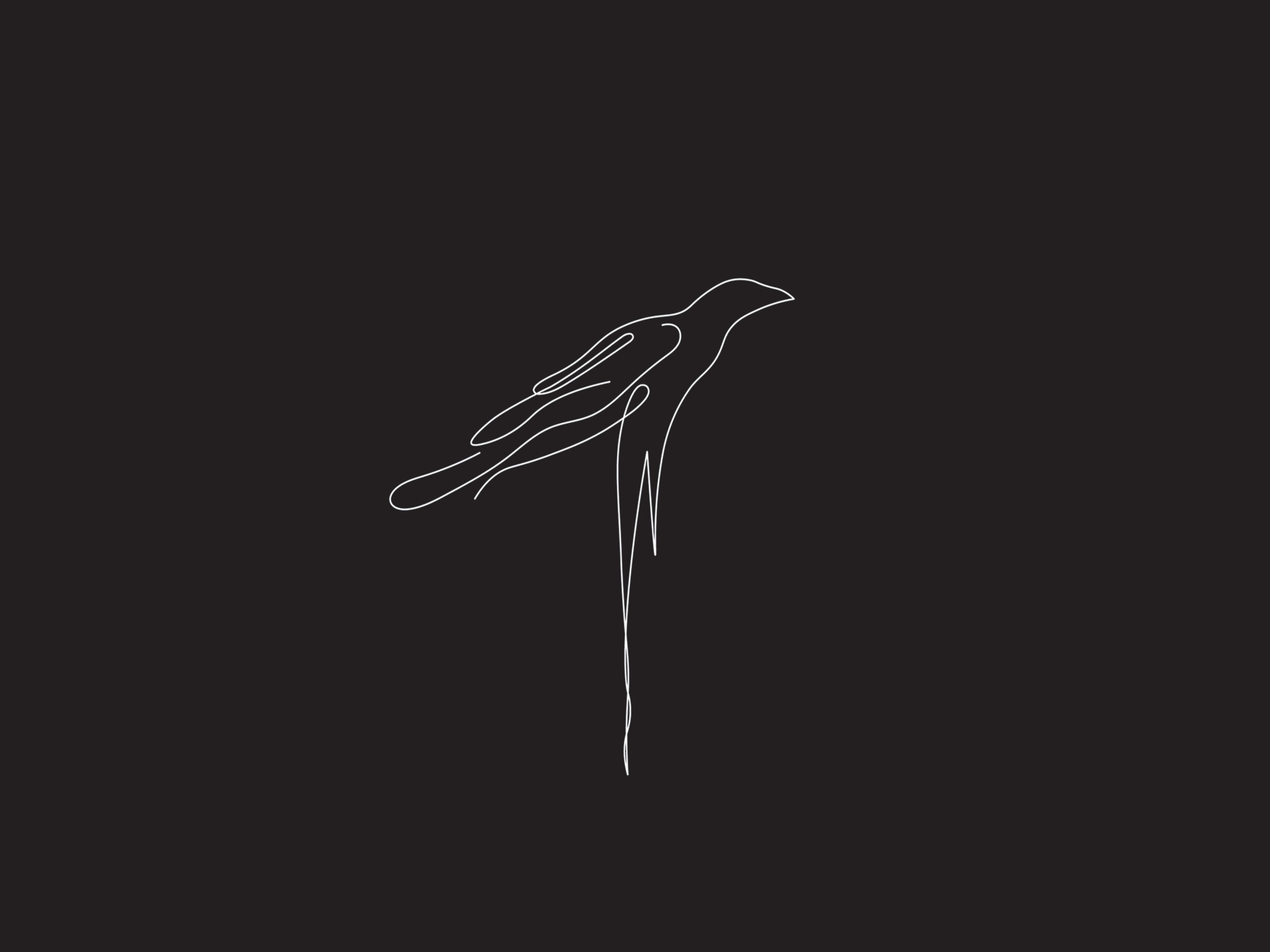 crow-line-drawing-right-cover